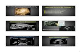 Obstetric Scanning: Normal Anatomy Objectives 2nd and 3rd …jeffline.jefferson.edu/jurei/Limited_OB_0617/Work Folder... · 2016-12-15 · Obstetric Scanning: Normal Anatomy Bill