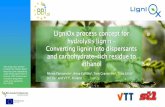LigniOx process concept for hydrolysis lignin …...LigniOx BBI Innovation Action Lignin oxidation technology for versatile lignin dispersants 05/2017 –04/2021, 6.6 M€ 04/10/2019