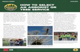 How to Select an Arborist or Tree Service to... · an arborist or tree service The University of Nebraska does not discriminate based upon any protected status. Please see go.unl.edu/nondiscrimination.