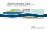 Volume 1 – Border Rivers Salinity Integrated ... Instream salinity models of NSW tributaries in the Murray-Darling Basin Volume 1 – Border Rivers Salinity Integrated Quantity and