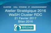 Atelier Stratégique 2016 WaSH Cluster RDC...Resume Lignes directrices du Cluster Strategie Cluster 2016 Appui à la revue des projets du Fond Commun Humnaitaire Allocation specifiques
