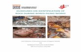 Guidelines on Rock Identification-1 · 2020-05-12 · Guidelines on Identification of Rock During Bored Piling Works Page | 1 Guidelines on Identification of Rock During Bored Piling