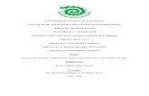 UNIVERSIDAD TÉCNICA DE BABAHOYO FACULTAD DE …dspace.utb.edu.ec › bitstream › 49000 › 4100 › 1 › -E-UTB-FAFI-ICA... · 2020-04-23 · universidad tÉcnica de babahoyo