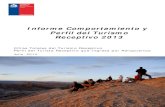 Informe Comportamiento y Perfil del Turismo …...Foto Portada: Valle de la Luna Región de Antofagasta Autor, SERNATUR Índice de contenido Introducción..... 11 Metodología.....
