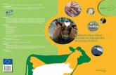 Sustainable Farm Animal Breeding and Reproduction ... · A vibrant and effective animal breeding and reproduction industry is essential if Europe is to meet the future challenges