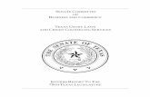 S C BUSINESS AND COMMERCE - Texas Senate › cmtes › 78 › c510 › TULCCSCh2.pdf · 2016-09-16 · 4 Texas Constitution, Art. 16 § 11. 5 Texas Finance Code § 306.001(5). 6 Texas