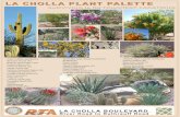 LA CHOLLA PLANT PALETTE - Pima County, Arizonawebcms.pima.gov/UserFiles/Servers/Server_6/File...TREES AND LARGE SHRUBS Desert Willow (B) Blue Palo Verde (I) Mexican Ebony Texas Mountain