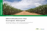 Monokulturen für Europas Biosprit - ciando ebooksEuropas Biosprit Veränderungen in der Landnutzung Brasiliens durch den Anbau von Energiepflanzen Danksagung Mein besonderer Dank