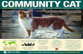 COMMUNITY CAT - Paws4Change®...COMMUNITY CAT An eartip is the universal symbol to identify a neutered and vaccinated cat.The top 3∕8 inch of the cat’s left ear is removed during