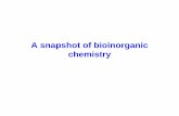 A snapshot of bioinorganic chemistryweb.chemistry.gatech.edu/~barefield/1311/bioinorganic_s09.pdf · of Bioinorganic Chemistry, Univ. Science Books, Mill Valley, CA, 1994. 2 αchains