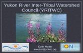 Yukon River Inter-Tribal Watershed Council (YRITWC) · 2016-07-12 · Water Quality in the Yukon River Basin, Paul F. Schuster and Nicole M. Herman-Mercer Introduction This is the