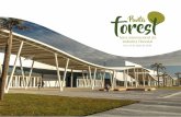 18 a 21 de abril de 2018 - Siglo · 2018-05-16 · Indústria Florestal Foram plantados no Uruguai mais de 1 milhão de hectares de fazendas de eucalipto e pinheiro para ﬁns industriais