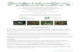Dumfries & Galloway Local Biodiversity Action Plan · 2018-03-09 · resulting publication in 1994 of the UK Biodiversity Action Plan stimulated a plethora of local action plans,