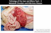 Pathology of the Liver and Biliary Tract 3 Metabolic ...people.upei.ca › smartinson › LIVER_LECT_3_SAM.pdfMetabolic Disorders and Infectious Disease Shannon Martinson, April 2016