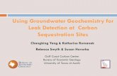 Using Groundwater Geochemistry for Leak Detection at ... · Using Groundwater Geochemistry for Leak Detection at Carbon Sequestration Sites ... carbon isotopes H 2 O + CaCO 3 + CO