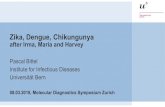 Zika, Dengue, ChikungunyaZika, Dengue, Chikungunya after Irma, Maria and Harvey Pascal Bittel Institute for Infectious Diseases Universität Bern 08.03.2018, Molecular Diagnostics
