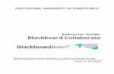 Instructor Guide: Blackboard Collaborate › virtual › wp-content › uploads › ... · Blackboard Collaborate is a real-time video conferencing tool that lets you add files, share