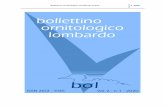Bollettino Ornitologico Lombardo online 1r2020...del sottogola forniscono elementi utili per determinare il sesso. In questo lavoro presento alcuni dati raccolti in un In questo lavoro
