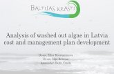Analysis of washed out algae in Latvia cost and …...Analysis of washed out algae in Latvia cost and management plan development Dr.oec. Elīna Konstantinova Dr.oec. Līga Brūniņa