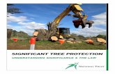 significant tree protection - National Trust Protection in... · Obviously, tree protection controls should restrict the lopping or removal of the tree itself. The controls should