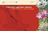 Alzheimer’s WA - Harmful garden plants inWestern Australia › uploads › 5 › 0 › 4 › 5 › ... · 2019-03-16 · confidently start pruning garden plants or pulling weeds