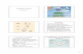 Mendelian Genetics - Exploits Valley High › rbaker › Exams › Mendelian_Genetics.pdf• F2 – (second filial) offspring from F1 cross Vocabulary (continued) • Allele- alternate