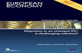 Migration in an enlarged EU: solution or problem for …...migration flows in an enlarged EU on both source and destination countries. Three broader domains of the economic effects