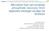 Technologies du vivant Microbial fuel cell enables ... · PDF file Microbial fuel cell enables phosphor bio-refining Microbial fuel cell Fertilizer ge Phosphate r F. Fischer et al.,