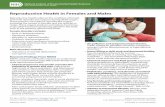 Reproductive Health in Females and Males Fact Sheet › health › materials › ... · Reproductive Health in Females and Males Reproductive health refers to the condition of female