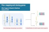 Challenges - Shantel A. Martinez fine mapping... · + QTL MAPPING OD Marker Pos Chrm 1A OD Marker Pos Chrm 2B Rqtl is a great package to use in R. QTL mapping a PHS tolerance gene