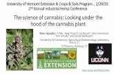 The science of cannabis: Looking under the hood of …...The science of cannabis: Looking under the hood of the cannabis plant Peter Apicella 1, Yi Ma , Ryan Picard 2, Sal Barolli