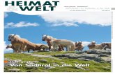 Haflingerpferde Von Südtirol in die Welt€¦ · „Südtirol digital 2020“ ein.< n VOLKSKUNST Südtiroler Spielkarten Nun gibt es fürs Kartenspielen auch die Südtiroler Spielkarten.
