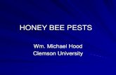 HONEY BEE PESTS - SC State Beekeepers Association · Beehive thefts / hive rustlers Responsible for honey contamination Removal of bee pasturage Responsible for introduction of Africanized