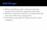 When classifying cells, what are the two groups that ...hkingscience.weebly.com › uploads › 4 › 5 › 4 › 8 › 45489663 › 02_note… · Plant and Animal Cells ... Prokaryotes