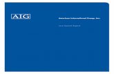 American International Group, Inc. · AIG 2010 Annual Report 1 American International Group 2010 Annual Report AIG at a Glance Chartis is a world-leading property-casualty and general