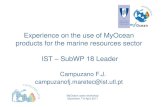 Experience on the use of MyOcean products for the marine ...€¦ · Skipjack tuna ( Katsuwonus pelamis) Data: Time series (2002-2008) of reanalysis product (GLORYS) Chlorophyll data