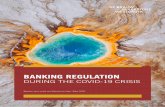 BANKING REGULATION › wp-content › uploads › 2020 › 05 › ... · 2020-05-29 · next in terms of banking regulation as the Covid-19 crisis and its economic ... raised where
