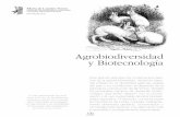 Agrobiodiversidad y Biotecnología...recursos y seguridad alimentaria. Según Lobo (2008): “la agrobiodiversidad es la variedad y variabilidad de animales, plantas y microorganismos