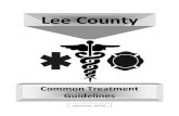 Common Treatment Guidelines...Lee County Common Treatment Guidelines100.01[1] Table of Contents 2016 Section 100 – Forward • 100.01: Table of Contents • 100.02: Intent & Usage