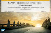 SAP IBP ±эффективный спутник бизнес планирования › ru › ibp-infoday-8feb17 › ... · оперативное взаимодействие,