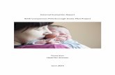 External Evaluation Report Birth Companions Peterborough Doula … · 2019-03-07 · A case study ... presence of a doula in the perinatal period, including during the actual birth