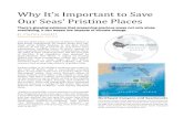 Why It’s Important to Save Our Seas’ Pristine Places...Why It’s Important to Save Our Seas’ Pristine Places There’s growing evidence that preserving precious areas not only