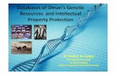 Databases of Oman’s Genetic Resources and Intellectual ...€¦ · Malendi, Red Papaya (Carica papaya) Local seedy strains Barley (Hordeum vulgare) ... New varieties of wheat discovered