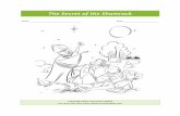 The Secret of the Shamrock 04 - Chime Traveler Kidschimetravelerkids.com/.../The-Secret-of-the-Shamrock_04.pdf · 2016-07-25 · Title: The Secret of the Shamrock_04 Author: Lisa