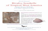 Recently Released! Bivalve Seashells of Tropical West America · PDF file Bivalve Seashells of Tropical West America (Baja to Perú) $150.00 Bivalve Seashells of Western North America