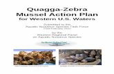 Quagga-Zebra Mussel Action PlanQuagga-Zebra Mussel Action Plan for Western U.S. Waters Submitted to the Aquatic Nuisance Species Task Force Final February 2010 by the Western Regional