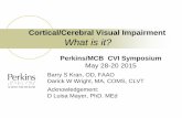 Cortical/Cerebral Visual Impairment What is it? · Lueck, A (2010) Cortical or Cerebral Visual Impairment in Children: A Brief Overview. JVIB, AFB press. Dutton GN, Bax M, editors.