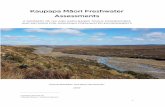 Kaupapa Māori Freshwater Assessments...assessments of freshwater environments. No longer active but provides useful examples of what is possible. Mātauranga Māori Knowledge Networks