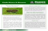 Chalk Rivers & Streams - Sussex Wildlife Trustassets.sussexwildlifetrust.org.uk › chalk-streams-and-rivers-1.pdf · There are only 35 chalk rivers generally considered to be ‘streams’