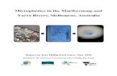 Microplastics in the Maribyrnong and Yarra Rivers, …...both rivers, microplastics formed the bulk of litter and accounted for 77% and 67% of the total litter count in the Yarra and